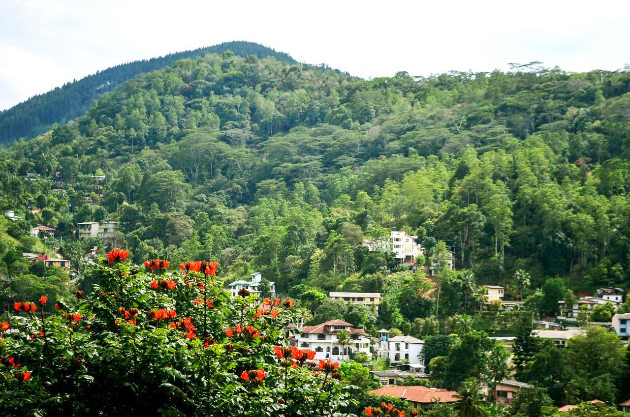 Villa Nine Kandy Exteriér fotografie