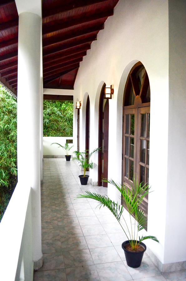 Villa Nine Kandy Exteriér fotografie